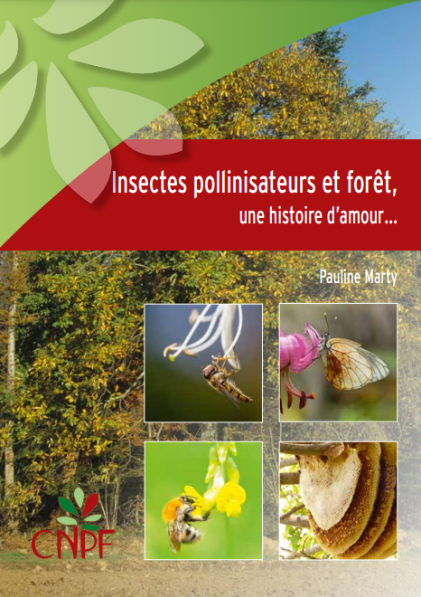 Insectes pollinisateurs et forêt
