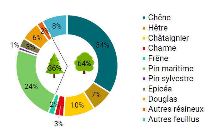 Proportion des essences forestières en Nouvelle-Aquitaine