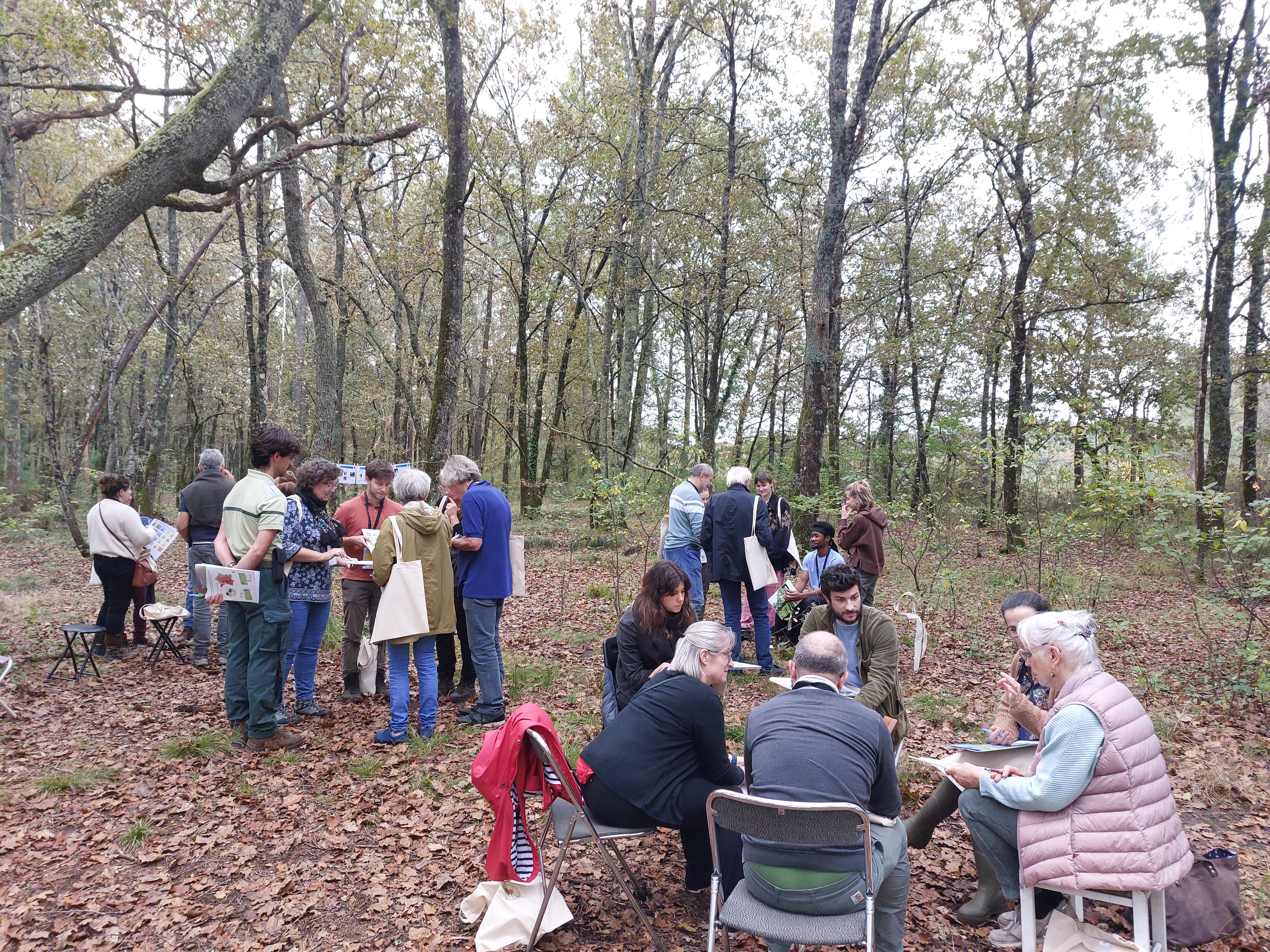 Atelier 2 - Bois des Sources du Peugue et Bois de la Princesse à Pessac