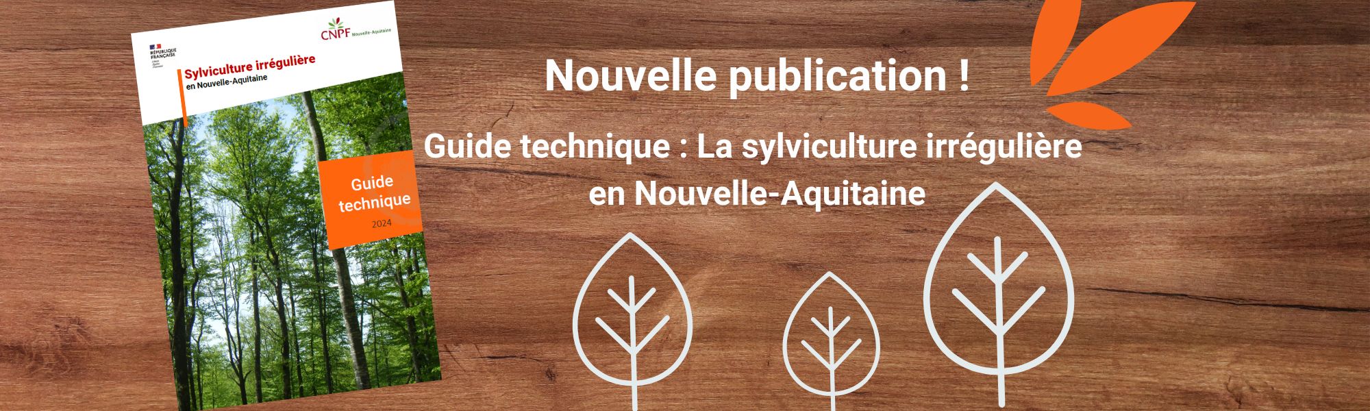 CNPF Nouvelle-Aquitaine, la gestion durable des forêts privées