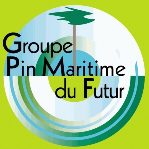 Logo GIS Pin Maritime du Futur