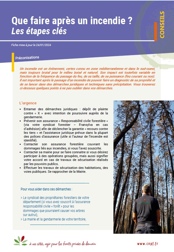 Couverture de la fiche Recommandations incendies