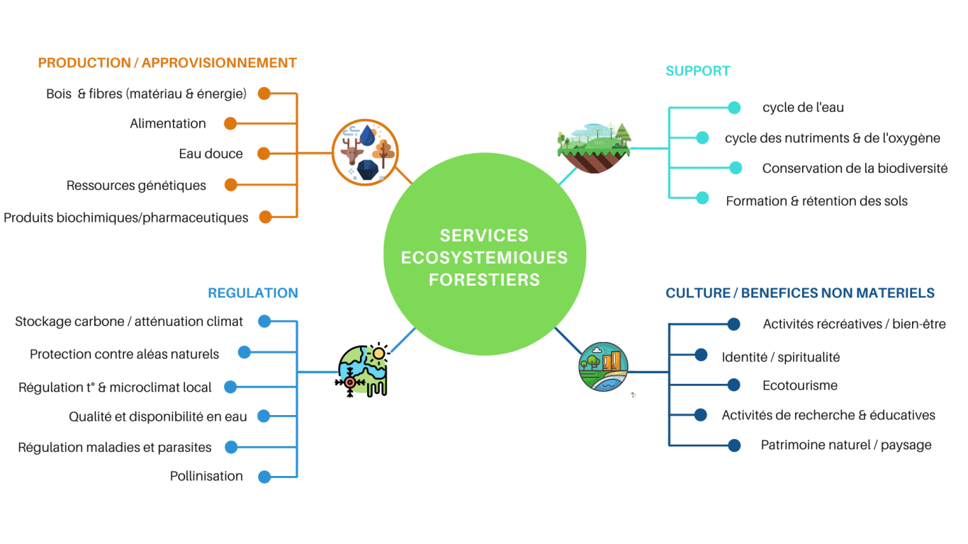 Services exosystémiques - infographie