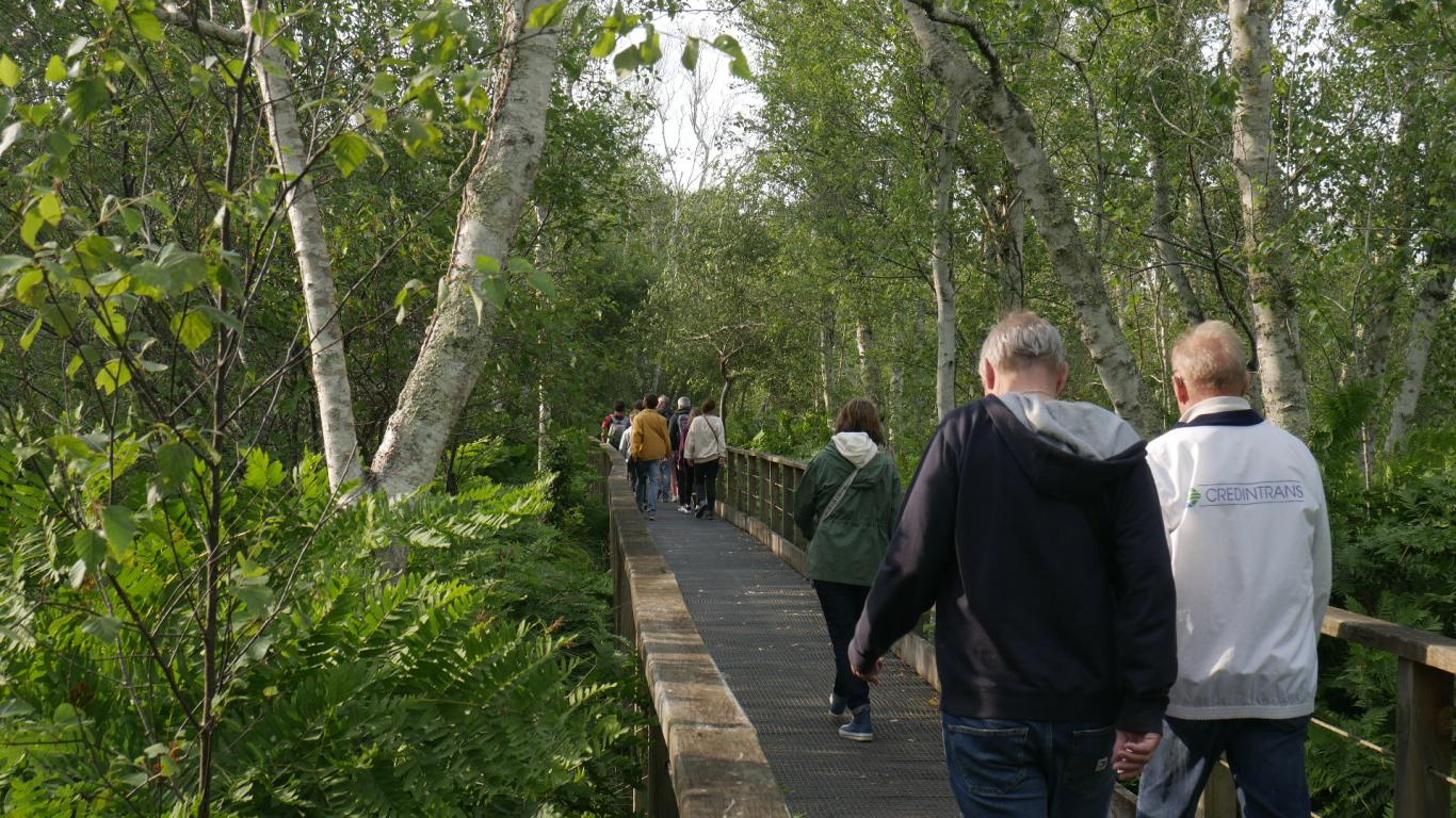 Nuits des forêts Hourtin 2025