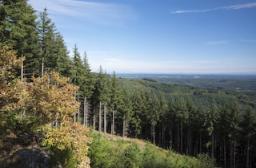 Plateau de millevaches