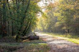 PRENDRE EN MAIN SES BOIS