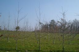 BOISER SES TERRES AGRICOLES