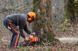 Petit matériel forestier