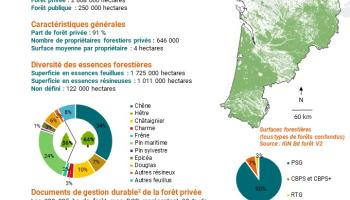Données forestières Nouvelle-Aquitaine