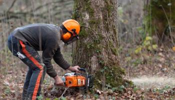 Petit matériel forestier