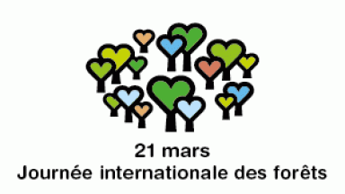 Logo journée internationale des forêts
