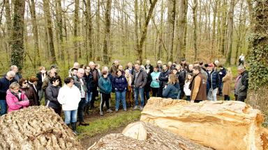 Journée internationale des forêts - Deux-Sèvres