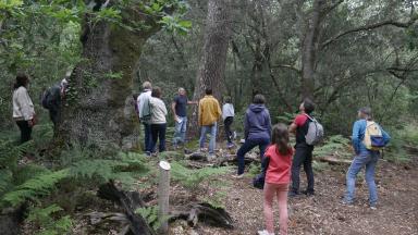 Nuits des forêts Hourtin 2025