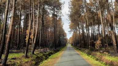 Bandeau page DFCI - CNPF NA