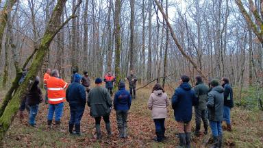 Sylviculture irrégulière - Réunion Vienne - Marc Mounier © CNPF