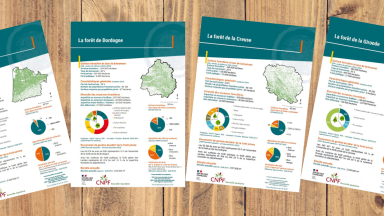 Bandeau données forestières