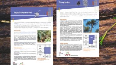 Bandeau nouvelle fiche