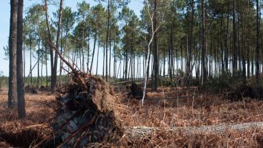 Tempête - © Anne GENEIX
