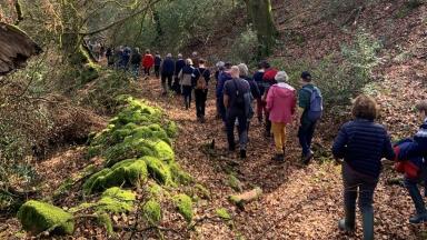 Réunion forêt - Eymoutier (87) -  24 fev