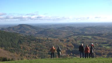 Les forêts en Nouvelle-Aquitaine