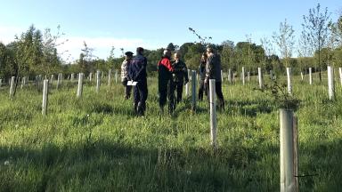 COOPTREE sur le terrain - Avril 2026