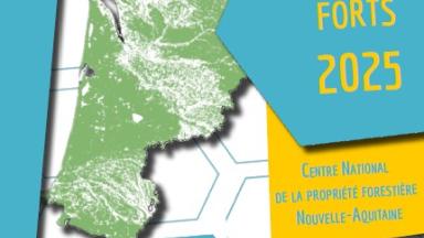 Points Forts 2025 - CNPF NA