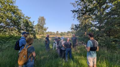 Nuits des Forêts 2026-Merignac