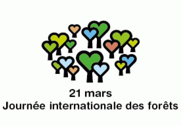 Logo journée internationale des forêts