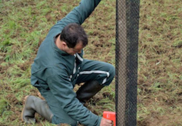 Protection contre les chevreuils