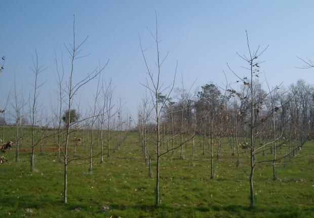 BOISER SES TERRES AGRICOLES