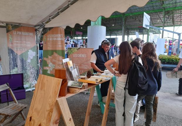 Festival des metiers et du bois 2024