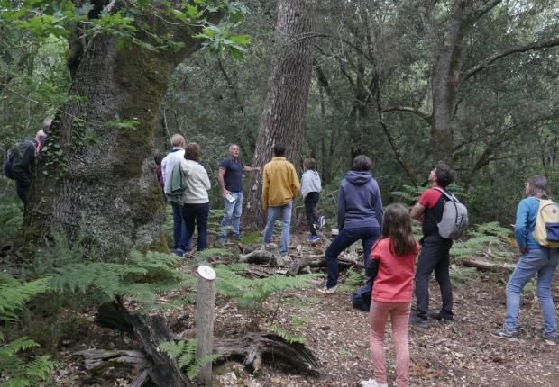 Nuits des forêts Hourtin 2025