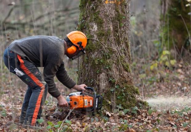 Petit matériel forestier