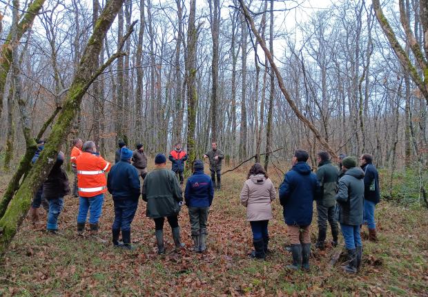 Sylviculture irrégulière - Réunion Vienne - Marc Mounier © CNPF