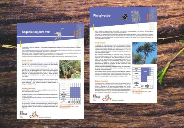 Bandeau nouvelle fiche