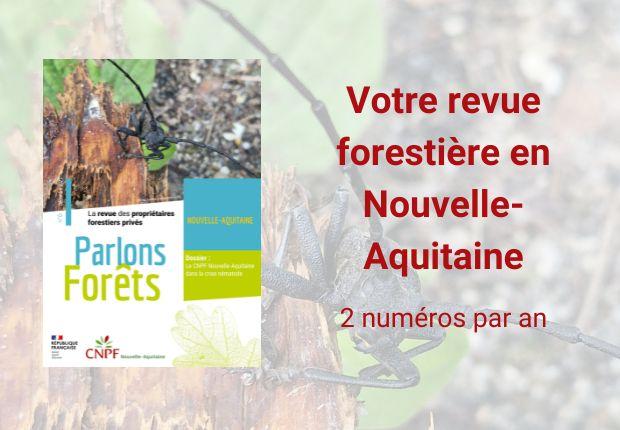 Parlons Forêts en Nouvelle-Aquitaine n°6
