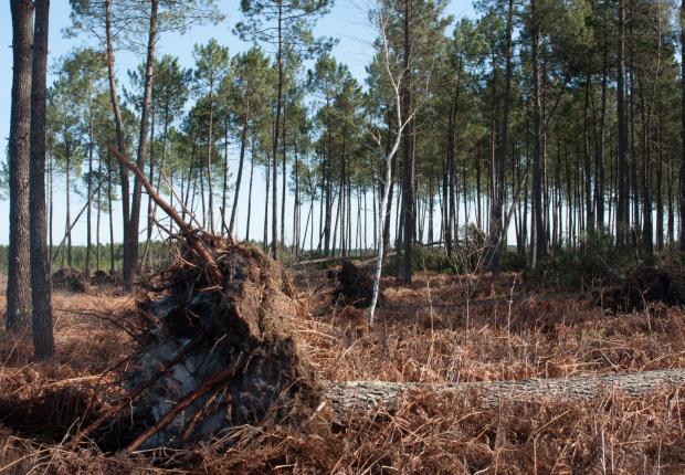 Tempête - © Anne GENEIX