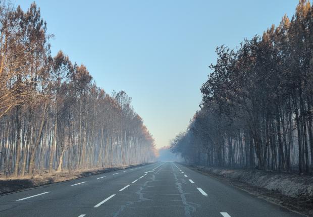 incendie Gironde - Juillet 2026