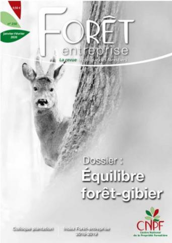 Numéro 250 Forêts entreprise