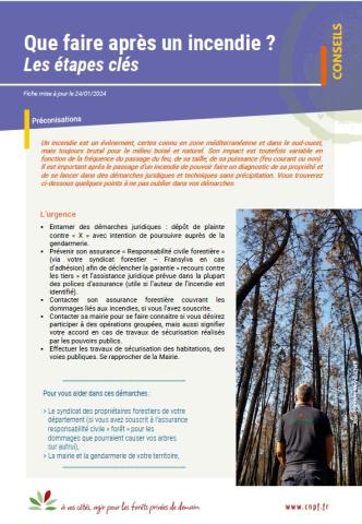 Fiche Conseils CNPF Que faire après un incendie ?