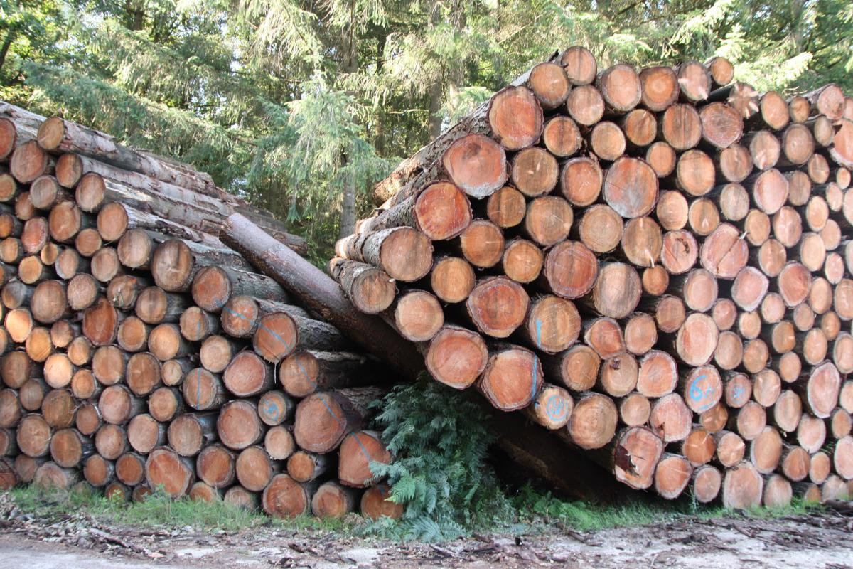 Réglementation des coupes de bois