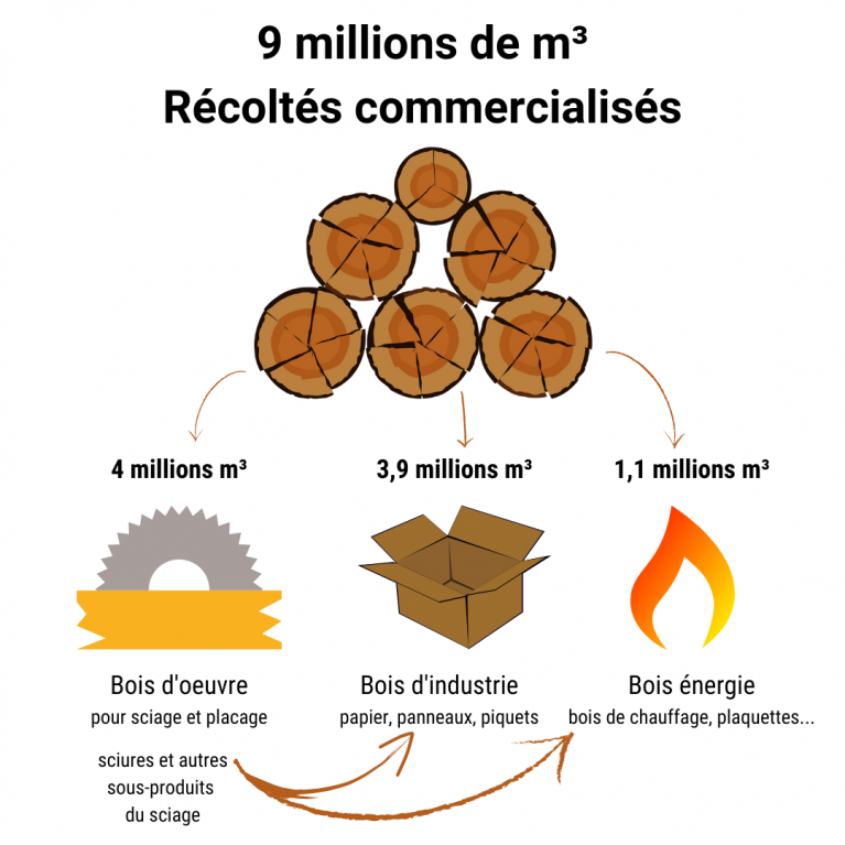 Bois récoltés 2022