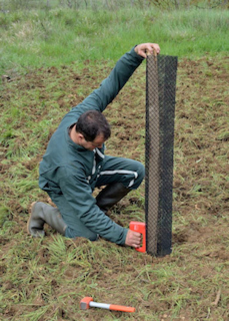 Protection contre les chevreuils