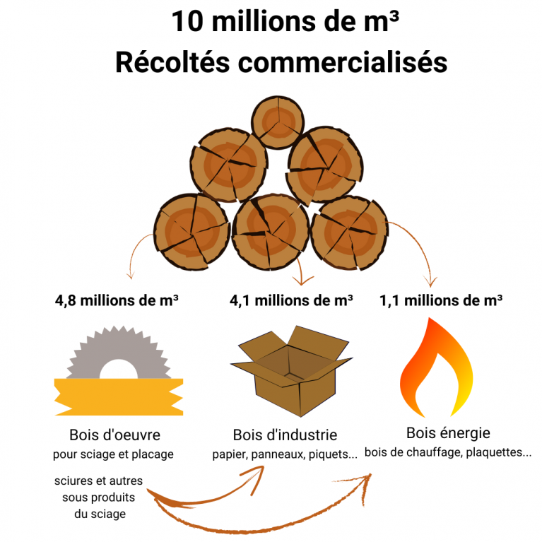 Récolte annuelle bois - Nouvelle-Aquitaine