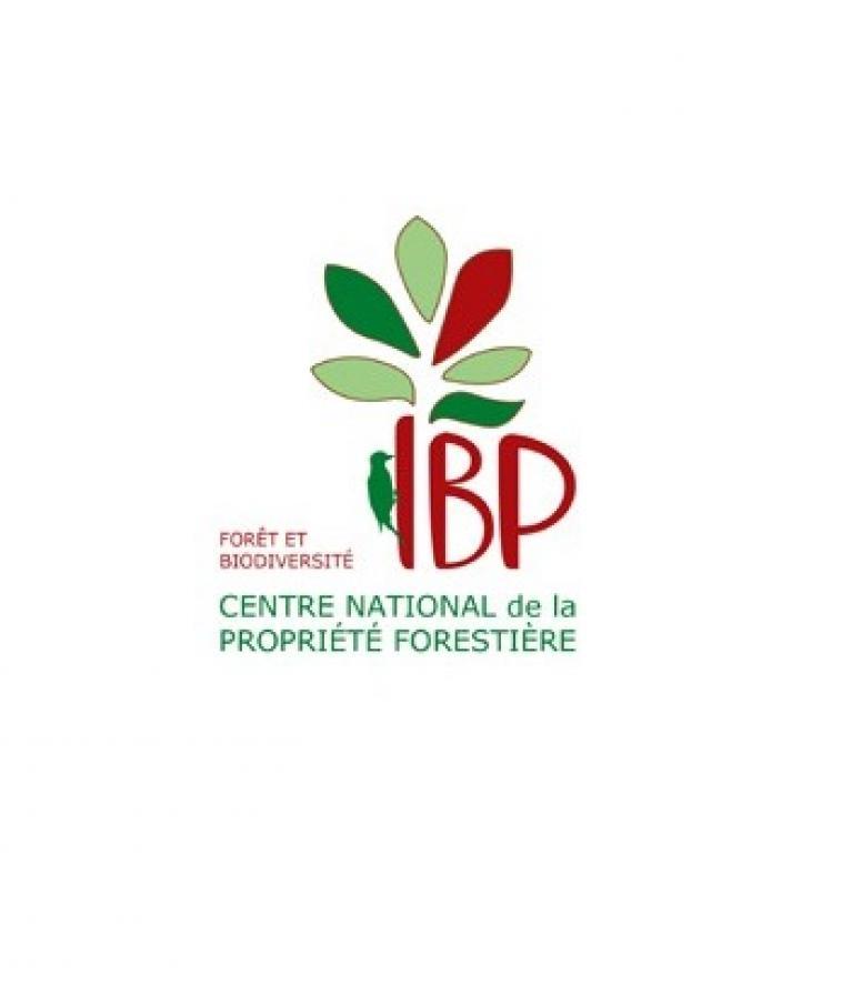 Logo IBP