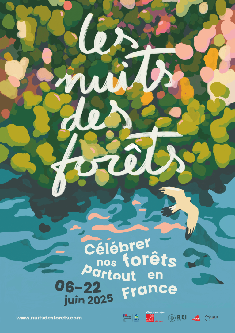 Affiche Nuits des Forêts