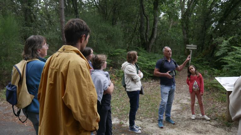 Nuits des forêts Hourtin 2025