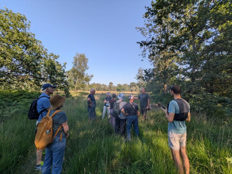 Nuits des Forêts 2026-Merignac