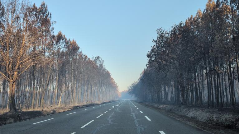 incendie Gironde - Juillet 2026