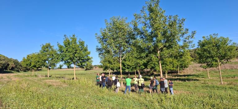 Sortie COOPTREE Catalogne 2026